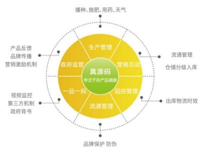 美丽中国建设实施体系日益完善